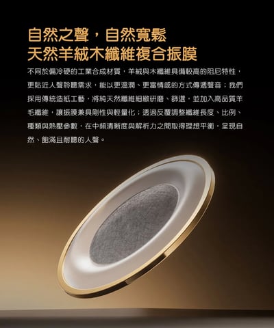 FIIO × SNOWSKY FH3 LUMI 鹿鳴 混合單體可換線耳機｜一圈二鐵・復古人聲調音9