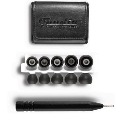 瑞士 GAUDIO Nair 2022 三單體 旗艦 可換線 耳道式耳機 CM 0.784