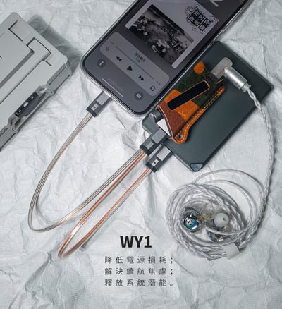 Luxury & Precision(精奢樂彼) WY1 小尾巴獨立供電線 雙TYPE C OTG USB DAC 線 小尾巴 升級線2