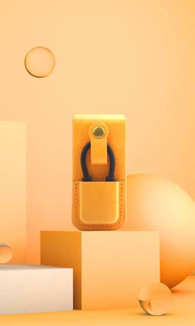 Lotoo 樂圖 ICS-PS1-1 PAW S1/S2 Leather Case 專用皮套 三色可選4