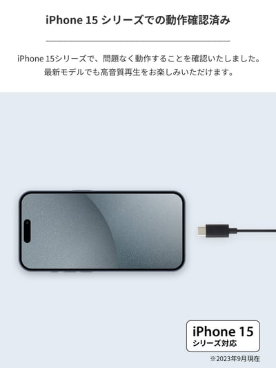 日本 Radius HP-NEL22C 平頭式耳機 平頭塞 USB-C iPhone15適用2