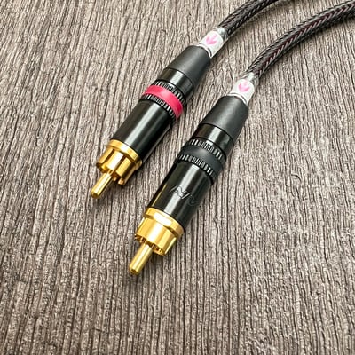 大力揚 Power Praise × Audio-Technica CAB030 雙RCA公對公音訊線｜人聲與樂器細節升級的高性價比之選2