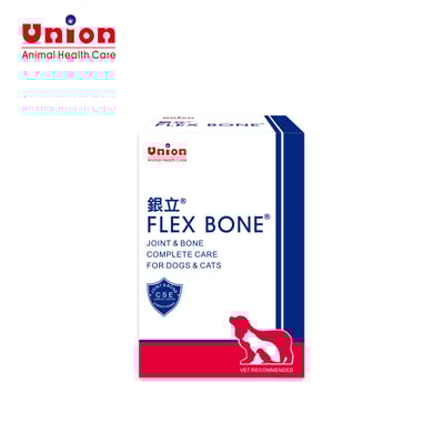【新升級】銀立 FLEX BONE・蛋殼膜骨骼關節保健粉 30g1