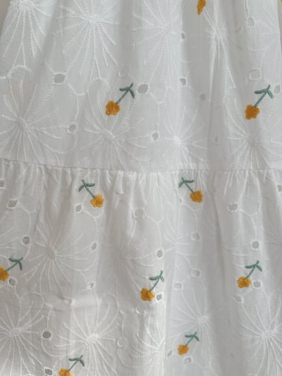 小可愛蕾絲刺繡長裙9