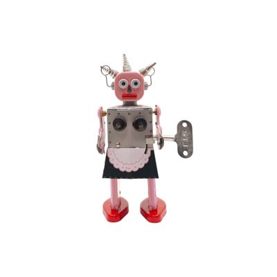 ROXY ROBOT1