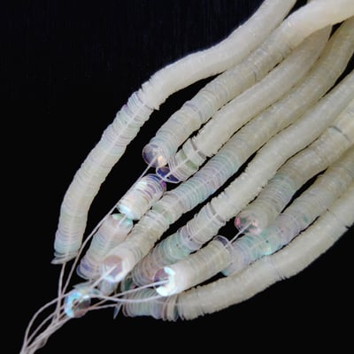 LM-Transparent iridescent slightly Ivory color n° 30023