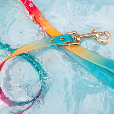 Pink Papyrus 漸層防水牽繩1