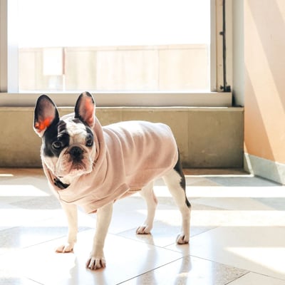 Lambwolf Robin Baby Knit 寶寶級連帽踢11