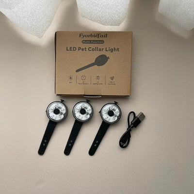 （大款）LED夜間安全燈三顆裝（IPX7防水防塵、十色亮光、Type-C充電、多用途）1