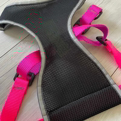 Gold Paw Featherweight Air Harness 羽量透氣胸背（防掙脫、無插扣、馬鞍伸縮）9