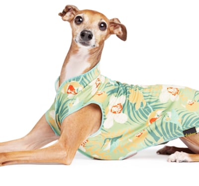 Gold Paw Sun Shield 防曬降溫彈性背心2