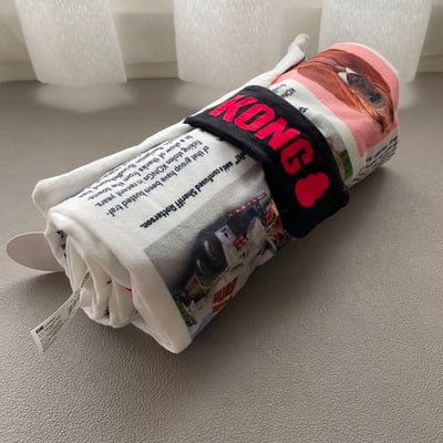 KONG Daily Newspaper 狗語日報玩具6