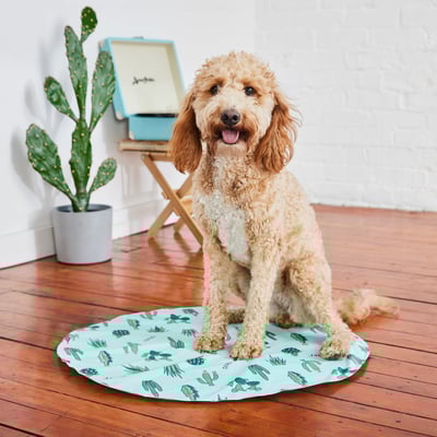 GF Pet Ice Mat 冰涼墊2
