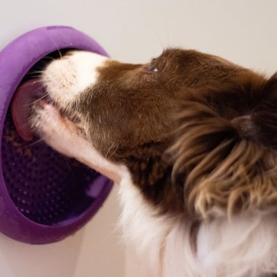 LickiMat UFO 飛碟舔食碗/慢食碗8