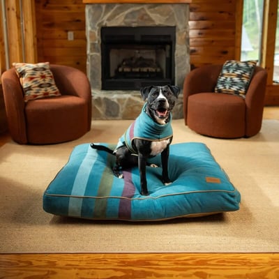 PENDLETON Cabin Stripe Pet Vest 山林小屋條紋刷毛背心16