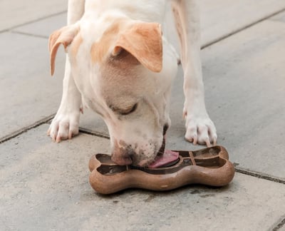 Guru Licky Bone 波浪骨餐盤（舔食、慢食、冷凍、耐咬、培根香）5