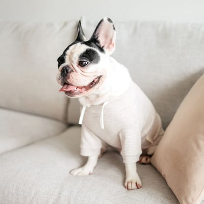 Lambwolf Breton Comfort Fit 抽繩條紋踢4