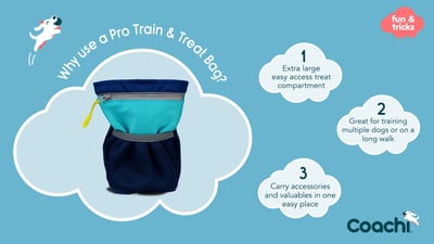 Coachi Pro Train & Treat Bag 進階訓練零食袋6