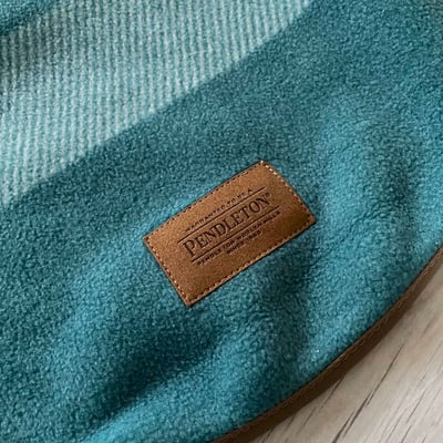 PENDLETON Cabin Stripe Pet Vest 山林小屋條紋刷毛背心7