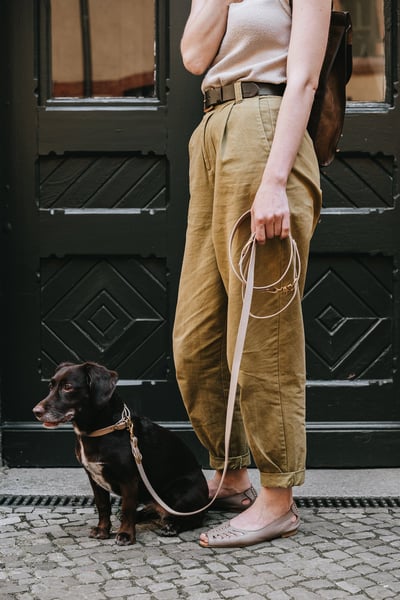 Band & Roll Lasso Air 多功能真皮牽繩（義大利牛皮、德國製）11