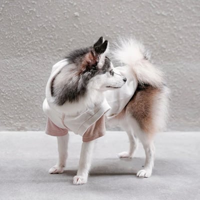 Lambwolf Robin Baby Knit 寶寶級連帽踢3