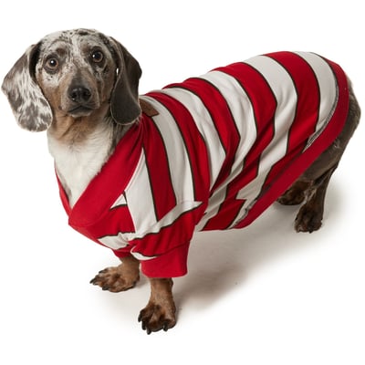 Eddie Bauer Pet Pajamas 純棉條紋踢6