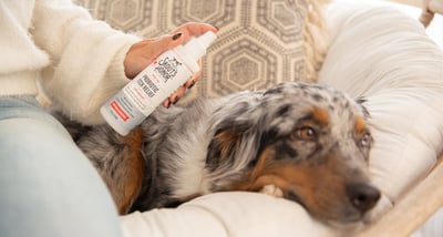 Skout's Honor Probiotic Itch Relief 益生菌身體趾間止癢噴劑，8oz.4