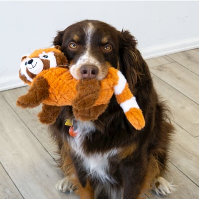 KONG Scampers 擬真野生動物玩具6