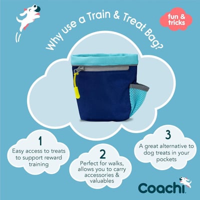 Coachi Train & Treat Bag 日常訓練零食袋6
