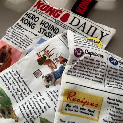 KONG Daily Newspaper 狗語日報玩具7