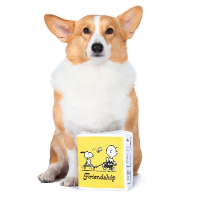 Peanuts Crinkly Book Toy 史努比漫畫玩具（藏食、嗅聞、啾啾、脆脆）11