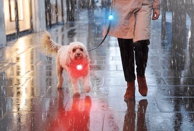 夜間LED安全燈三顆裝（防水防塵、8色亮光、Type-C充電、多用途）7