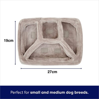 Firsco 雞腿便當玩具（藏食、嗅聞、覓食、啾啾、脆脆）8