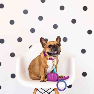 Pink Papyrus 迷你隨身包(加贈史努比便便袋2捲、迷你濕巾1包、15ml酒精噴霧1瓶)18