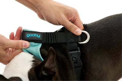 Gooby Escape Free Comfort X One 全功能防掙脫胸背9