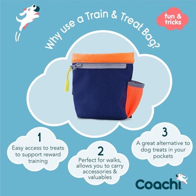 Coachi Train & Treat Bag 日常訓練零食袋3