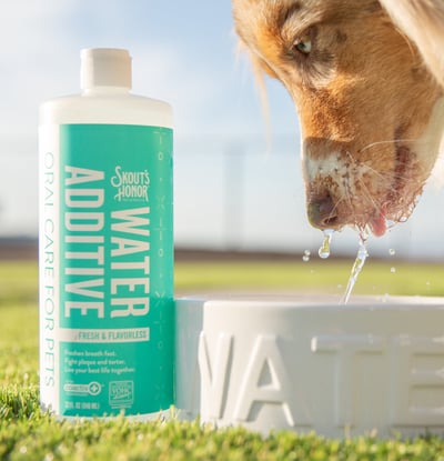 Skout's Honor Water Additive 潔牙水(清新無調味)(VOHC認證)32oz (coactiv+®菌膜阻斷技術)4