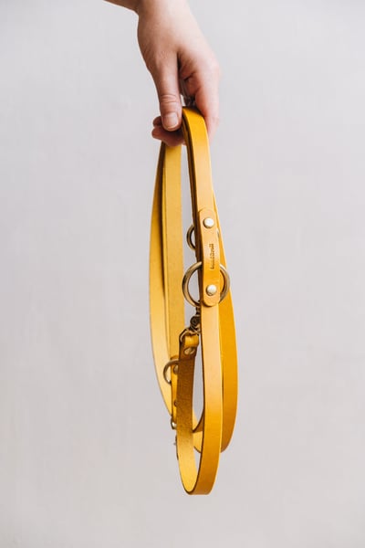 Band & Roll Lasso Air 多功能真皮牽繩（義大利牛皮、德國製）14