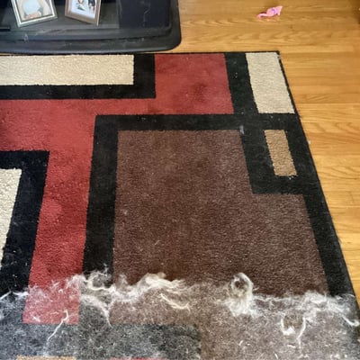 Uproot Cleaner Pro 專業去毛刷6