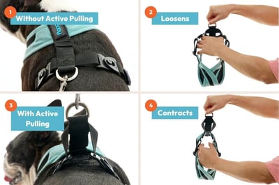 Gooby Escape Free Comfort X One 全功能防掙脫胸背7