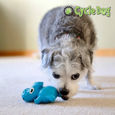 Cycle Dog Ecolast Rubber Toy 多元互動河馬玩具（藏食、啾啾、浮水、Ecolast環保材質）14