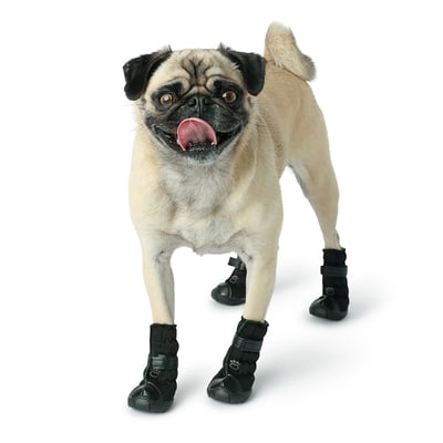 GF Pet Elasto-Fit Dog Boots 冬季長靴（雨靴、雪靴）（彈性環抱設計）8