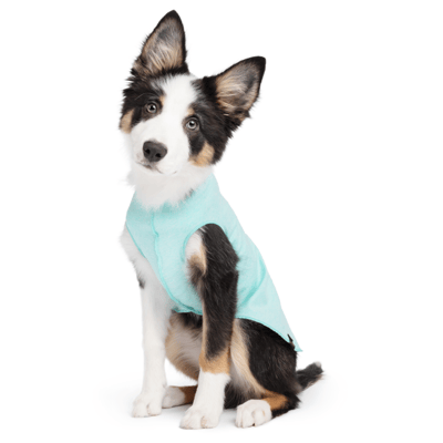 Gold Paw Sun Shield 防曬降溫彈性背心5