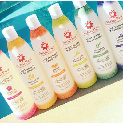 Aroma Paws Shampoo 洗潤雙效洗毛精，13.5oz.1