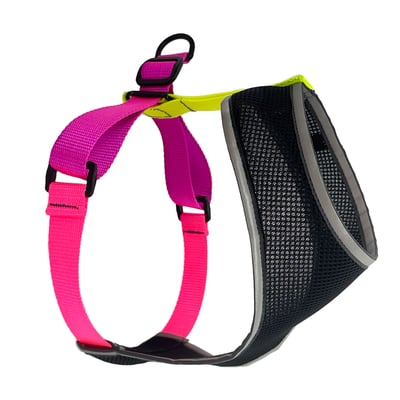 Gold Paw Featherweight Air Harness 羽量透氣胸背（防掙脫、無插扣、馬鞍伸縮）14