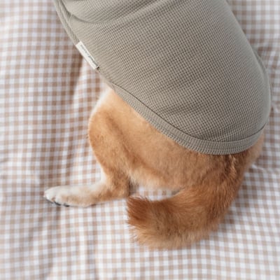 Lambwolf Waffle Ultra Soft 華夫格亨利踢15