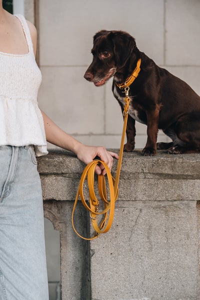 Band & Roll Lasso Air 多功能真皮牽繩（義大利牛皮、德國製）10