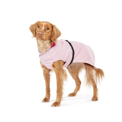 Gold Paw Rain Paw II 二代雨衣6