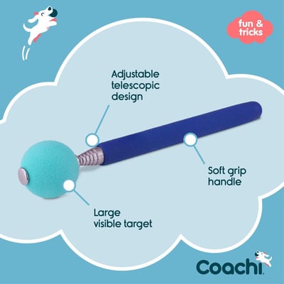 Coachi Target Stick 標的棒（才藝、敏捷、特定動作）3