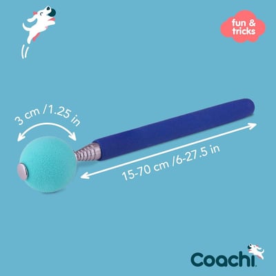 Coachi Target Stick 標的棒（才藝、敏捷、特定動作）4